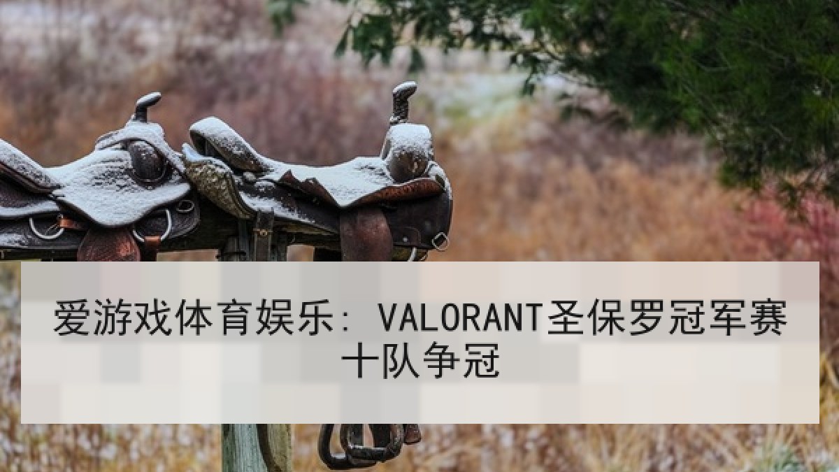 爱游戏体育娱乐: VALORANT圣保罗冠军赛十队争冠