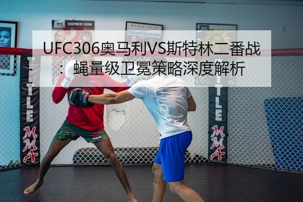 UFC306奥马利VS斯特林二番战：蝇量级卫冕策略深度解析