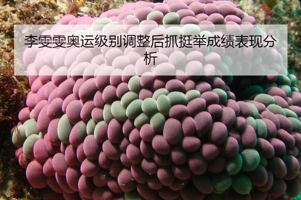 li-wen-wen-ao-yun-ji-bie-tiao-zheng-hou-zhua-ting-ju-cheng-ji-biao-xian-fen-xi-3-433.jpg