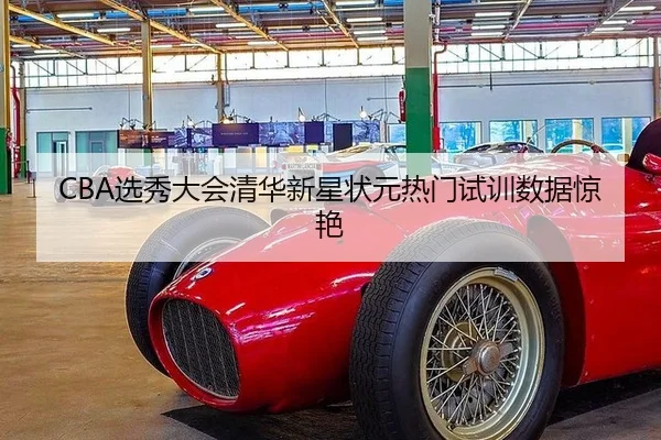 CBA选秀大会清华新星状元热门试训数据惊艳