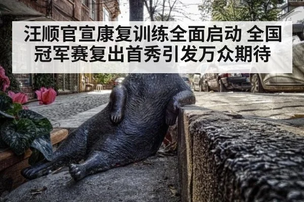 汪顺官宣康复训练全面启动 全国冠军赛复出首秀引发万众期待