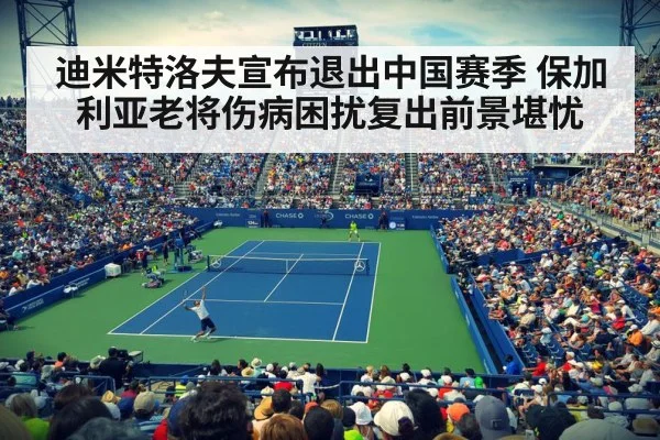 tennis stadium night match crowd